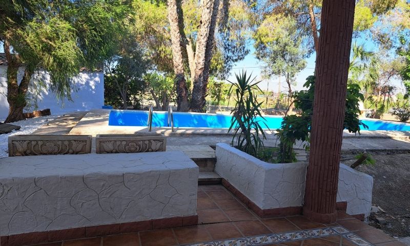 Sale - Finca - Orihuela