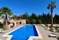 Sale - Finca - Catral