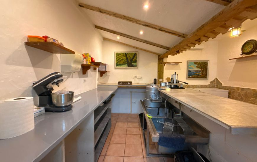 Venta - trespaso - Mil Palmerales - Mil Palmeras