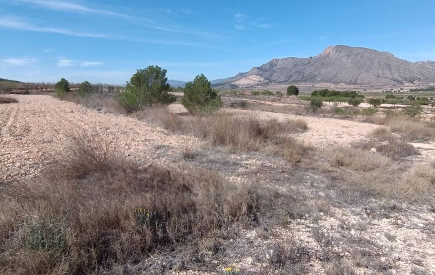 Venta - Adosado - Orihuela