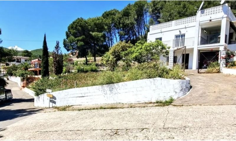 Sale - Apartments - 