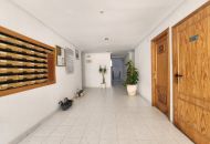 Venta - Apartamentos - La Mata