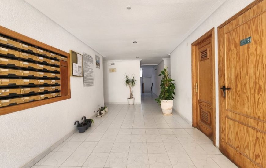 Venta - Apartamentos - La Mata