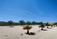 Venta - Casa Rural - Pinoso