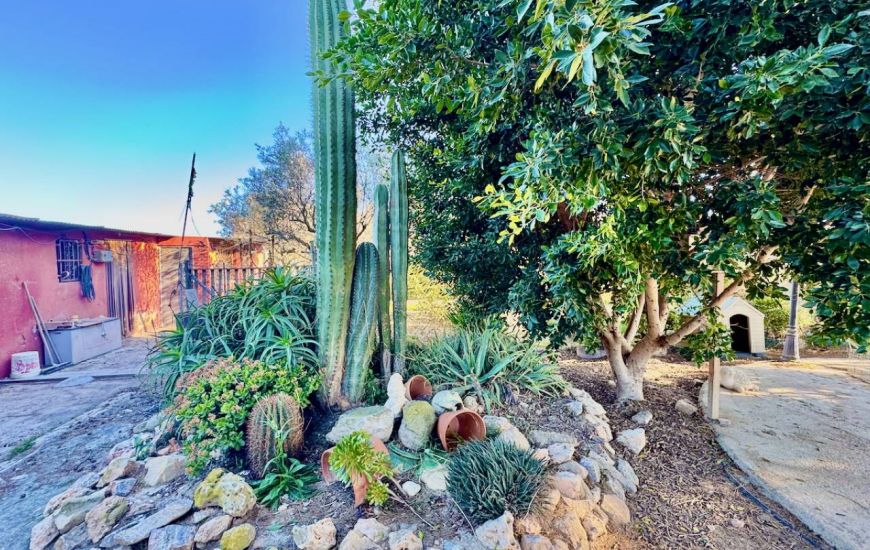 Sale - Country Property - Guardamar del Segura
