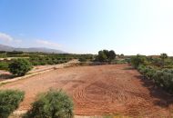 Sale - Finca - Albatera