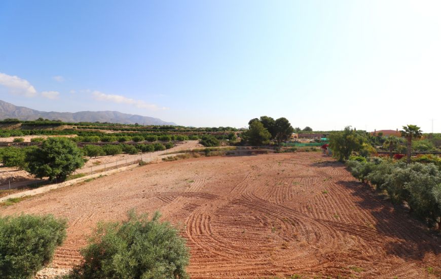 Sale - Finca - Albatera