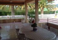 Sale - Finca - Sax