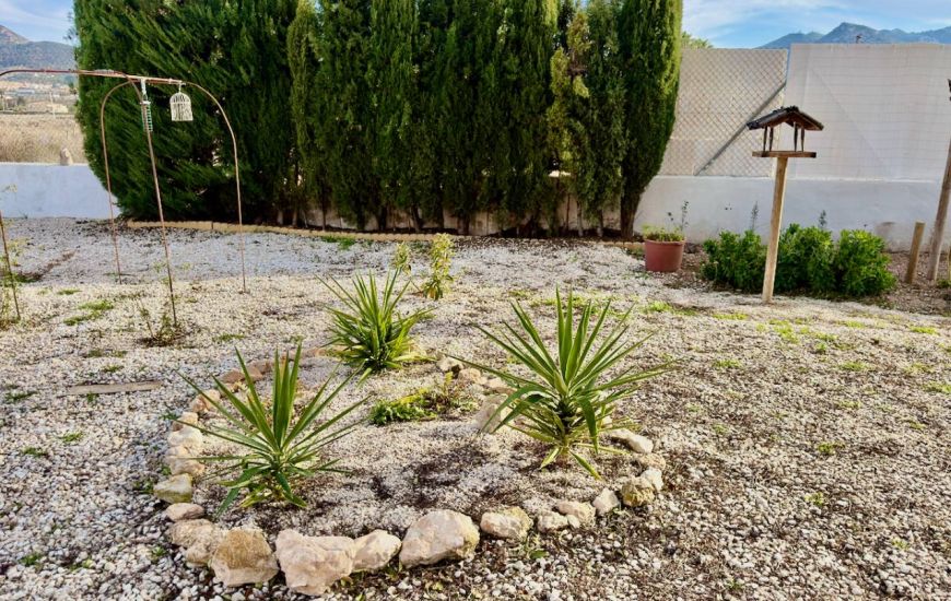 Sale - Finca - Hondon de los Frailes