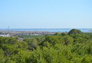 Sale - Country Property - Algorfa