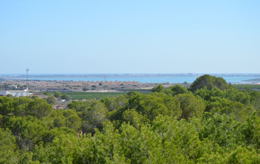 Sale - Country Property - Algorfa