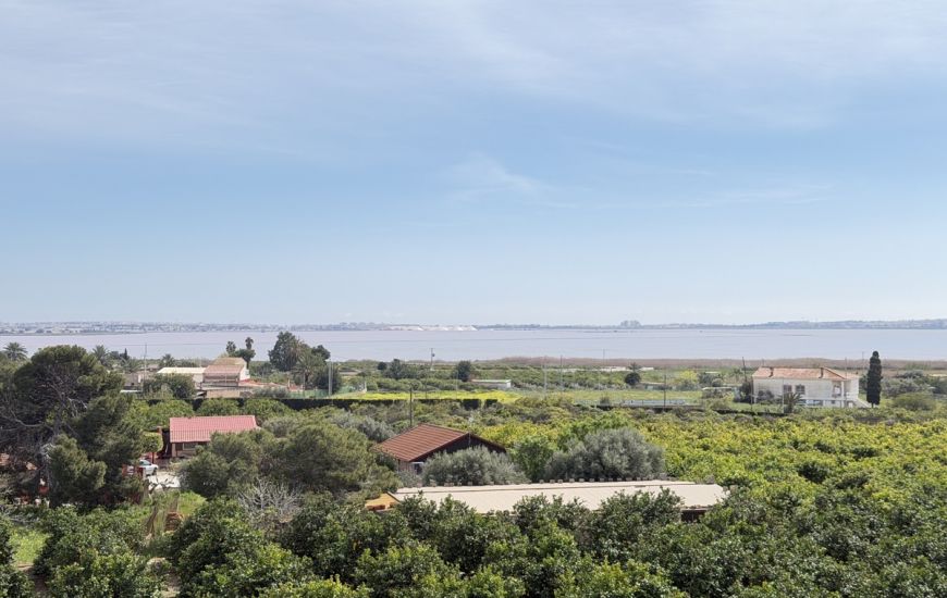 Sale - Apartments - Los Montesinos