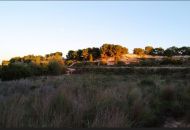 Sale - Land - Pinar de Campoverde - Pinar De Campoverde