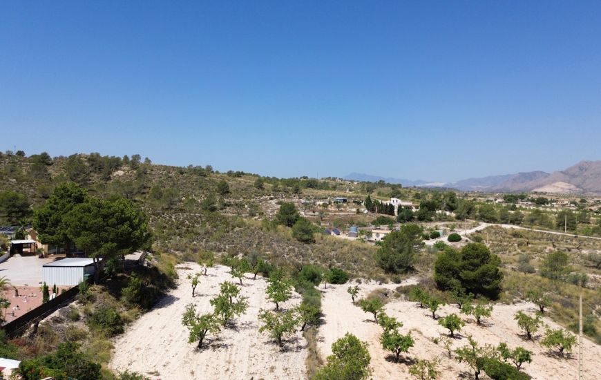 Sale - Villa - Hondon de los Frailes