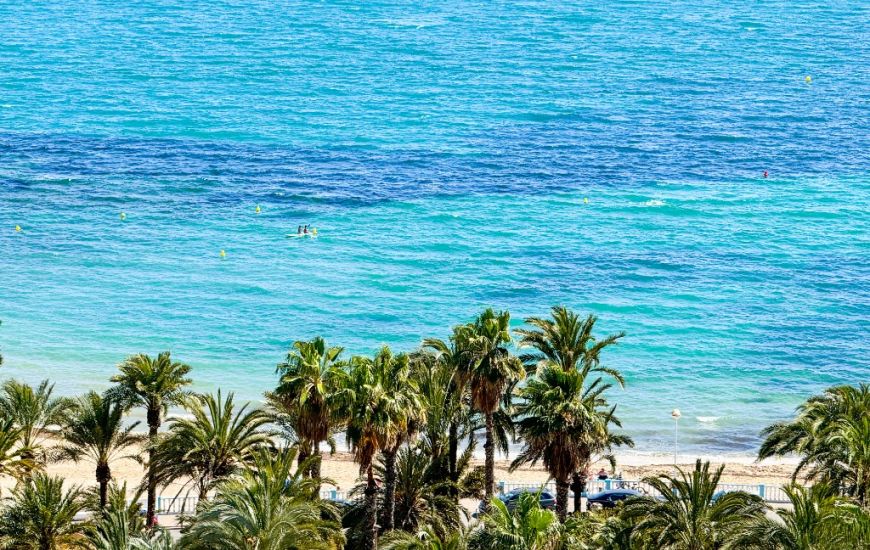 Sale - Apartments - Torrevieja