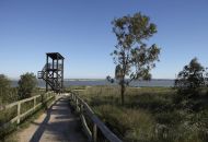 New Build - Penthouse - San Miguel de Salinas - 