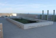 Sale - Apartments - 