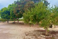 Sale - Finca - Rojales