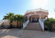 Sale - Finca - Catral