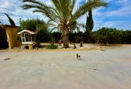 Venta - Casa Rural - San Fulgencio