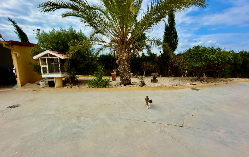Venta - Casa Rural - San Fulgencio