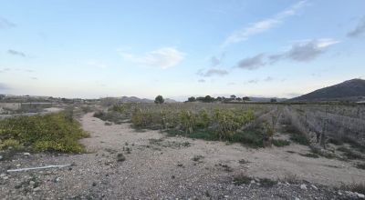 Terreno - Venta - La Romana - La Romana