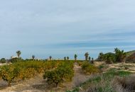 Sale - Villa - Los Altos