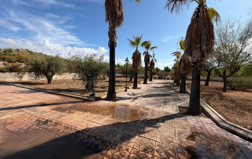 Sale - Villa - Aspe