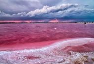 Venta - Apartamentos - Torrevieja