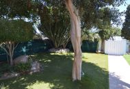 Sale - Apartments - Torrevieja