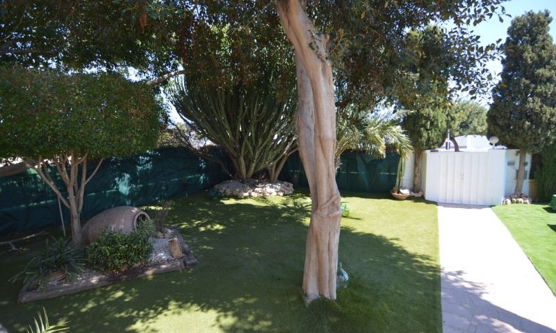 Sale - Apartments - Torrevieja