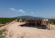 New Build - Finca - Pinoso
