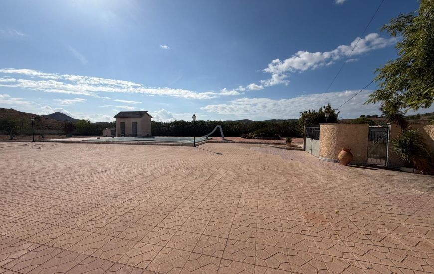 Sale - Villa - Aspe