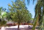 Venta - Apartamentos - 
