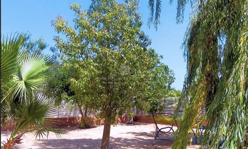 Venta - Apartamentos - 