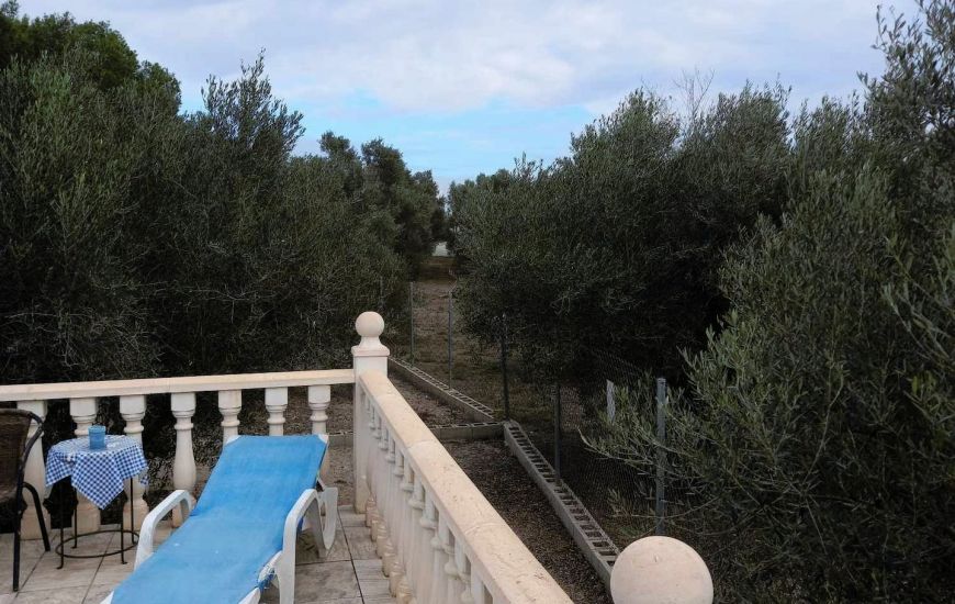 Sale - Finca - Dolores