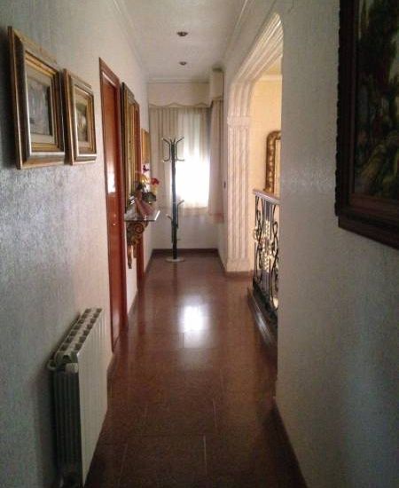Sale - Finca - Sax