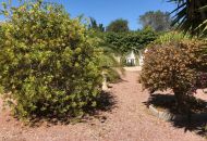 Sale - Villa - Jacarilla