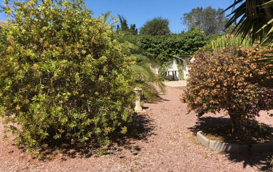 Sale - Villa - Jacarilla