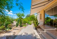 Sale - Country estate - Elche/Elx