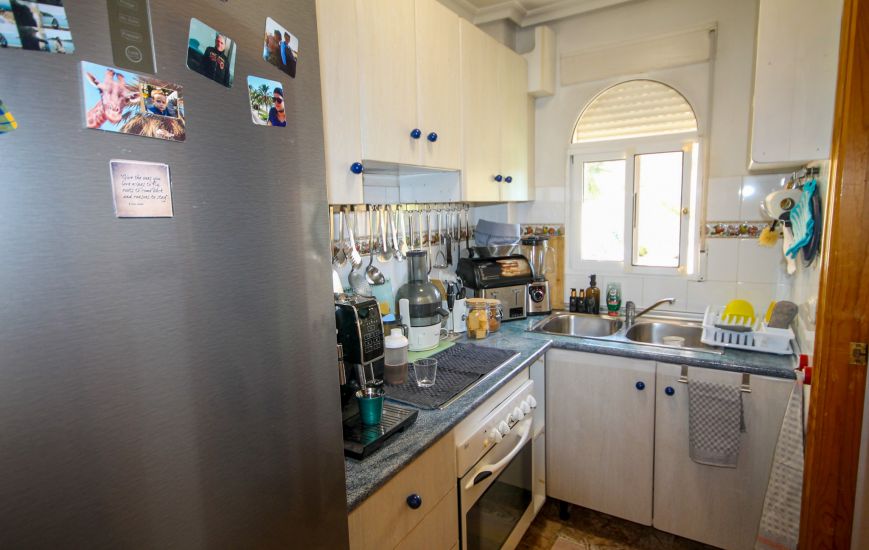 Sale -  - San Miguel de Salinas - 