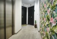 Venta - Apartamentos - Formentera Del Segura - Formentera del Segura