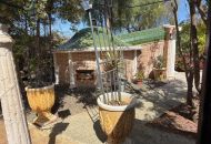 Sale - Finca - Catral