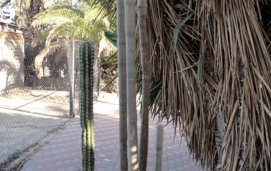 Sale - Country Property - Crevillente