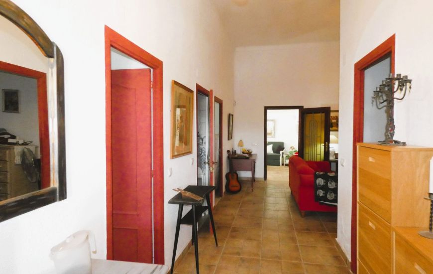 Sale - Finca - Dolores