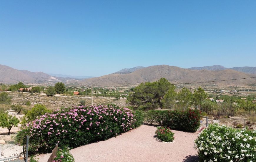 Sale - Villa - Hondon de los Frailes