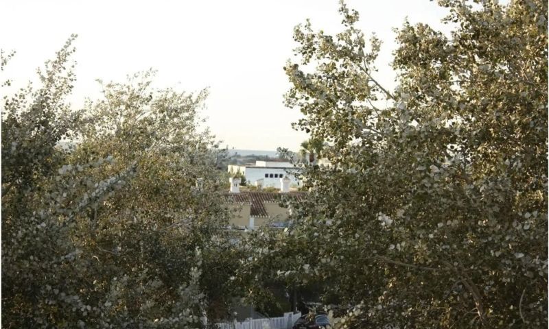 Sale - Apartments - Denia
