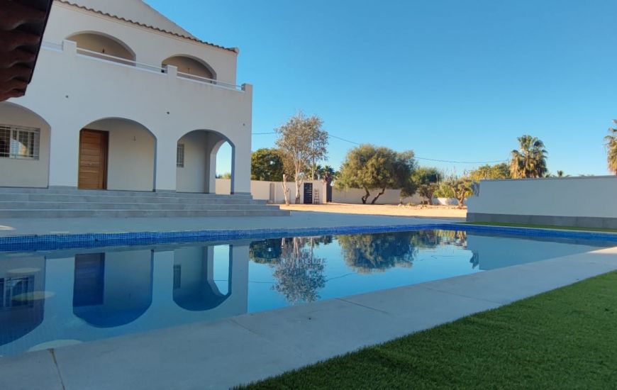 Sale - Finca - Catral