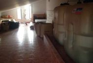 Sale - Finca - Sax