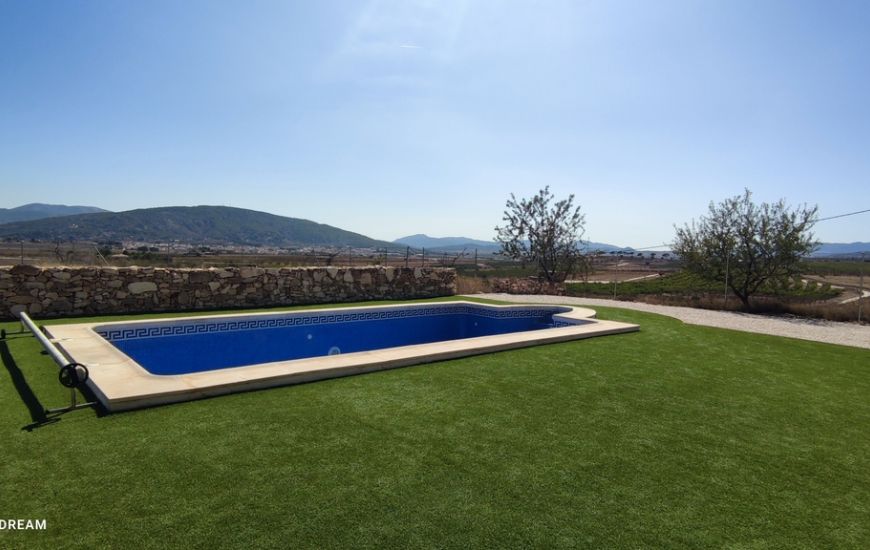 Sale - Finca - Pinoso